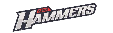 Les Hammers